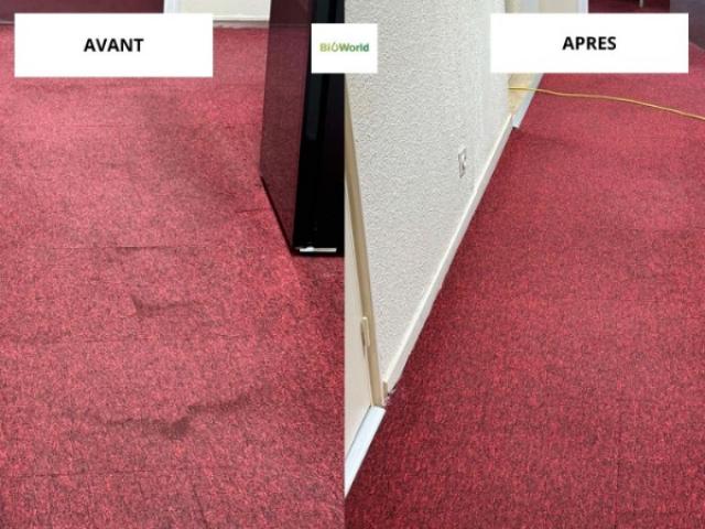Remise en état - nettoyage shampoing moquette centre de formation Montpellier 